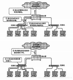 深入解析 计算机网络中的其他IP相关技术与开发服务