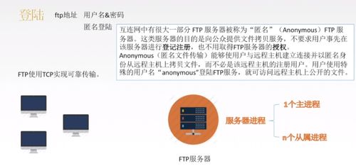 计算机网络应用层 技术开发与服务实现